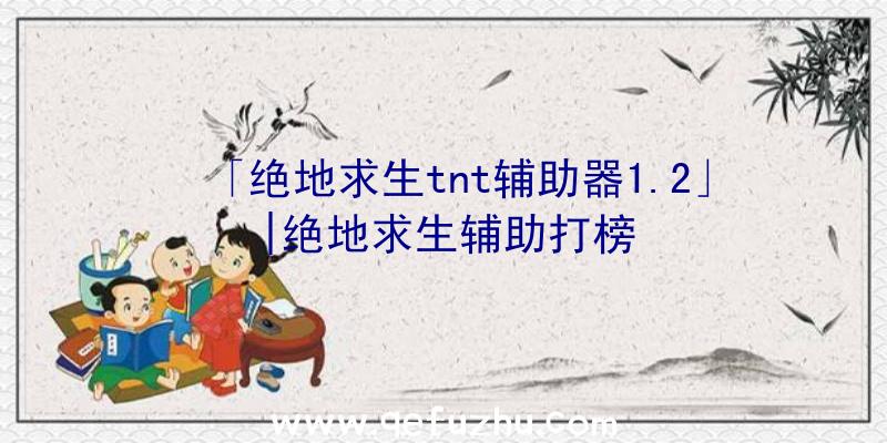 「绝地求生tnt辅助器1.2」|绝地求生辅助打榜